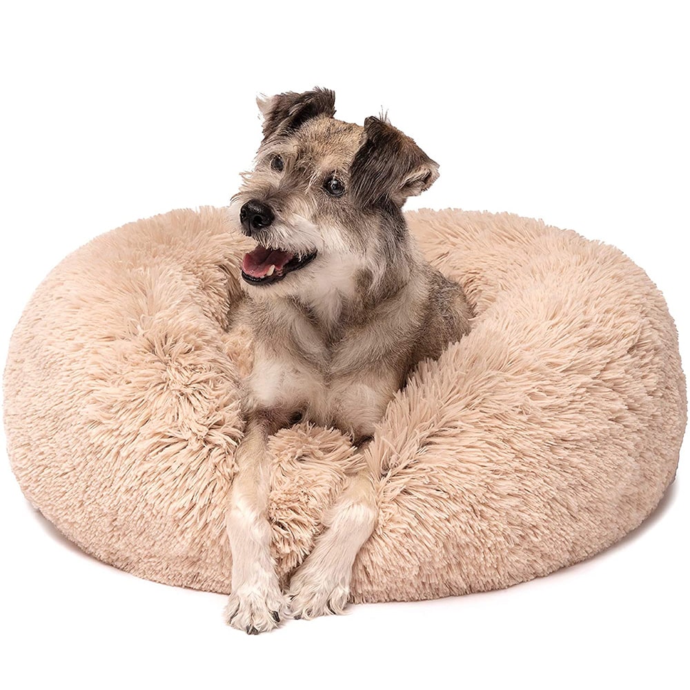 XalioBed - Améliore le sommeil et réduit le stress et l'anxiété de votre chien