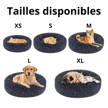 XalioBed - Améliore le sommeil et réduit le stress et l'anxiété de votre chien