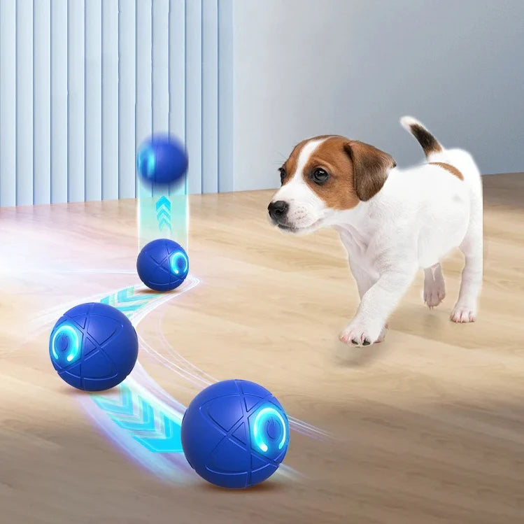 XalioBall – Le jouet intelligent qui booste la santé et les réflexes de votre chien !